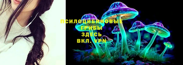 ПСИЛОЦИБИНОВЫЕ ГРИБЫ Алексин