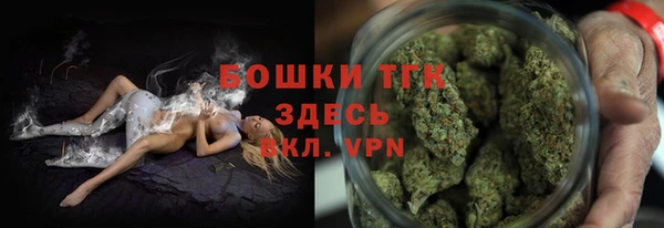 ПСИЛОЦИБИНОВЫЕ ГРИБЫ Алексин