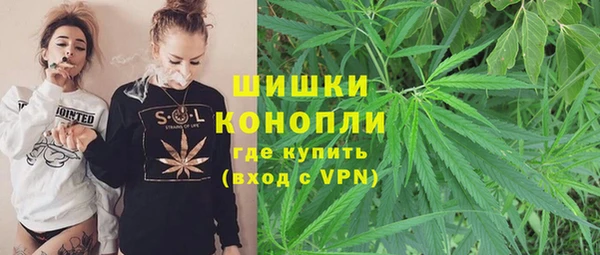 ПСИЛОЦИБИНОВЫЕ ГРИБЫ Алексин