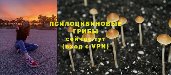 ПСИЛОЦИБИНОВЫЕ ГРИБЫ Алексин