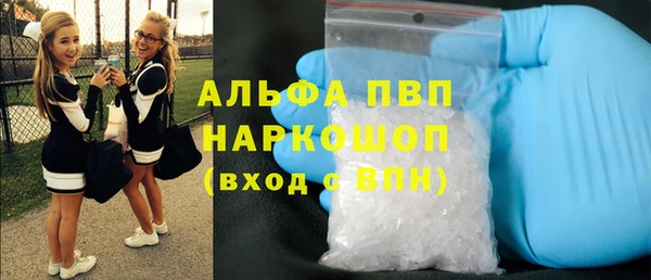 гашик Алексеевка