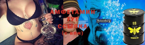 гашик Алексеевка