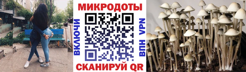 Псилоцибиновые грибы Magic Shrooms  цены наркотик  Удачный 